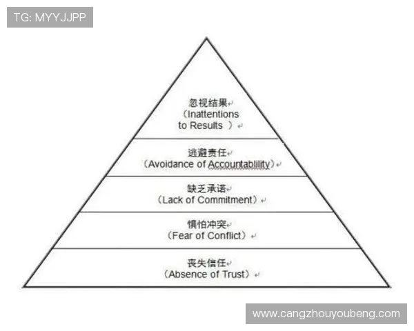 北京羽毛球队在世界锦标赛中的团队协作表现分析与点评 北京羽毛球队在世界锦标赛中的团队协作表现分析与点评