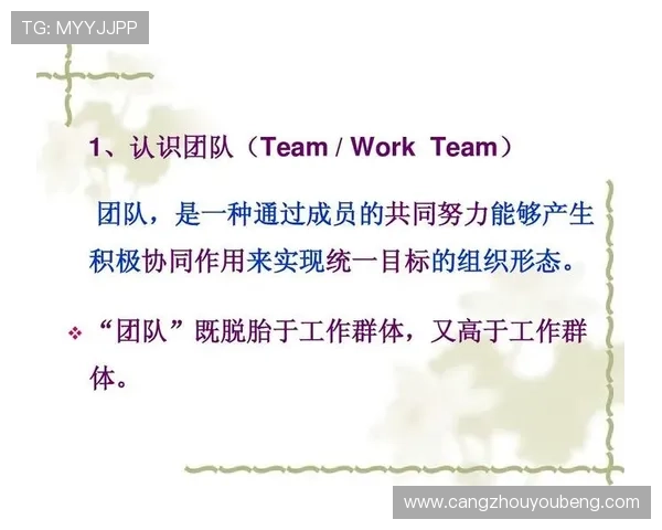 武汉排球队团队协作深度分析与其他球队的对比研究