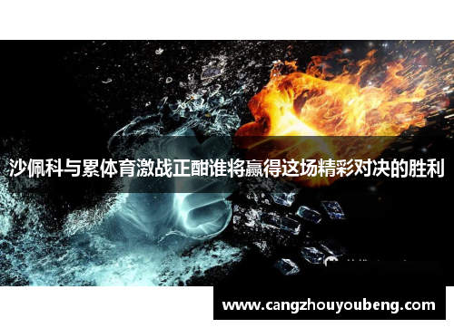 沙佩科与累体育激战正酣谁将赢得这场精彩对决的胜利